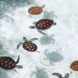 Meet your Posher, Ruby